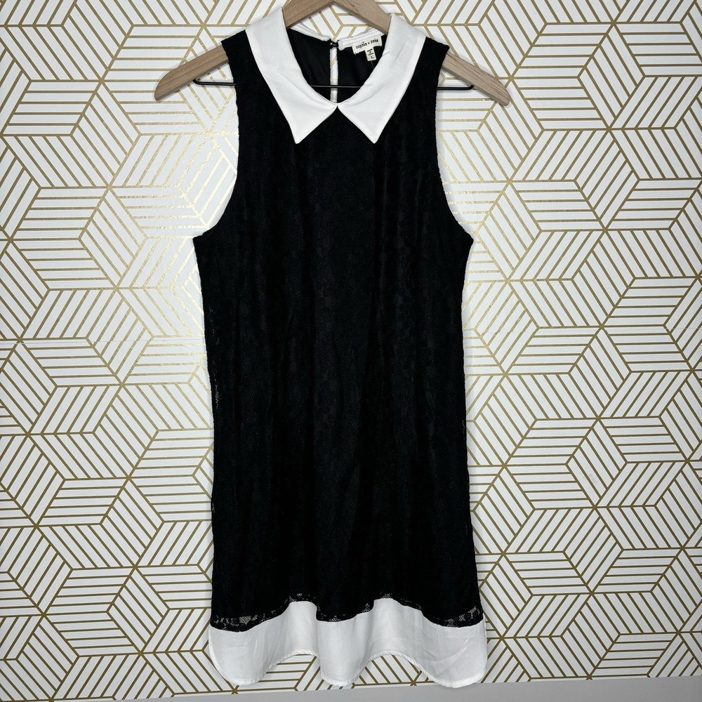 Black Lace Sheath Dress White Peter Pan Collar Large Gothic Whimsigoth Steampunk